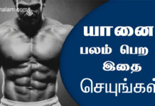 six pack tips in tamil