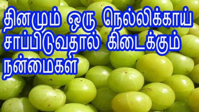 nellikai benefits in tamil