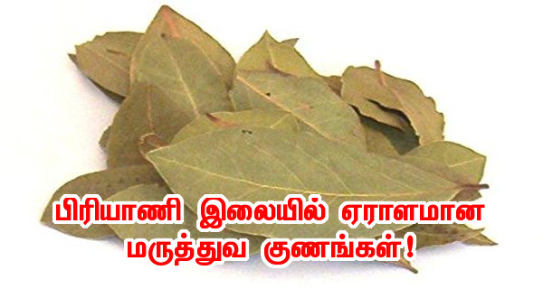 bay leaf benefits in tamil
