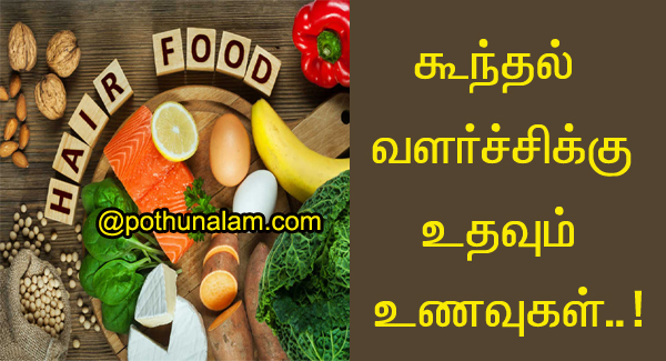முடி வளர உதவும் உணவுகள்..! Hair Growth Foods List in Tamil..!