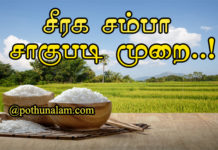 Seeraga Samba Rice Cultivation