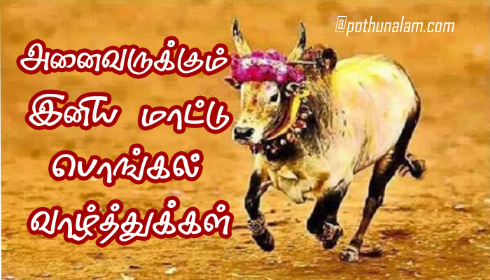 Mattu Pongal Wishes in Tamil