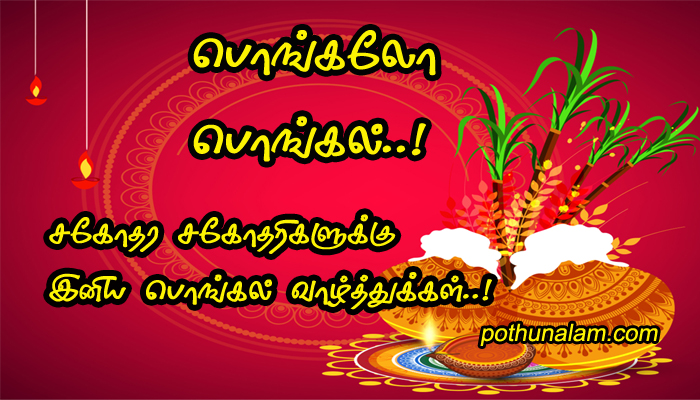 pongal wishes in tamil 2022