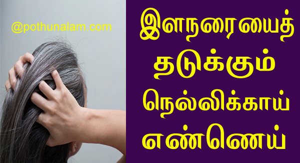 இளநரையைத் தடுக்கும் நெல்லிக்காய் எண்ணெய்..! How to make amla oil for grey  hair..! narai mudi karupaga tips in tamil..!
