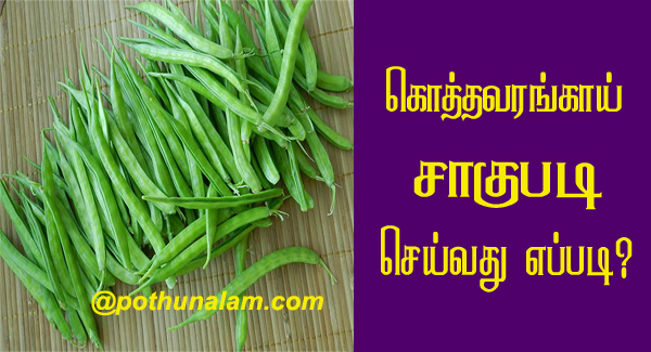 Guar cultivation in tamil