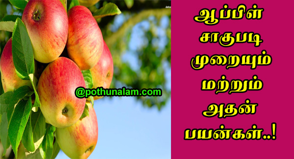 Apple Cultivation Uses