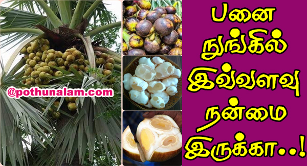 palm fruit health benefits