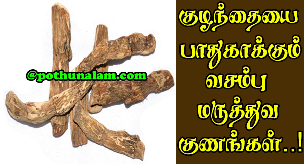Vasambu Uses In Tamil