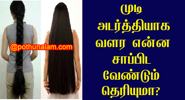 முடி அடர்த்தியாக வளர என்ன சாப்பிட வேண்டும் தெரியுமா? | Hair growth foods in  tamil