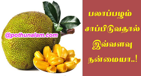 Jackfruit Uses And Benefits