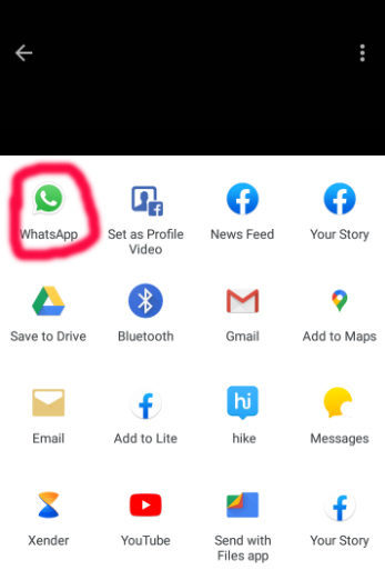 whatsapp status download without app