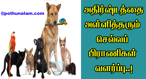 Lucky Pets For home