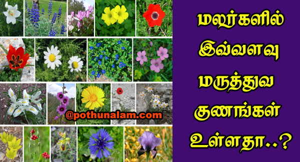 Medicinal Flowers And Its Uses