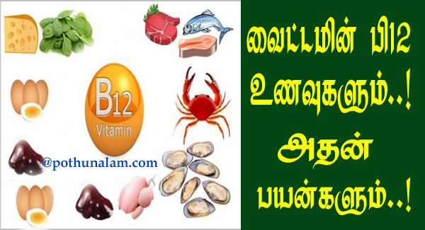 vitamin b12 foods in tamil