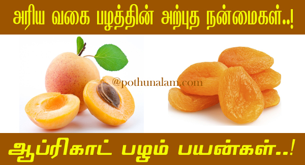 Apricot Benefits in Tamil