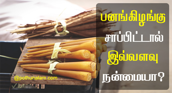 Pana Kilangu Benefits in Tamil