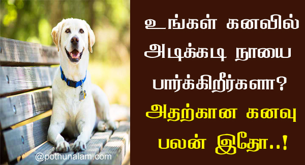 Dog Kanavu Palangal in Tamil