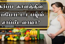 Sapota Benefits in Tamil