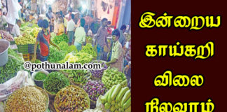 Vegetable Rate Today Chennai