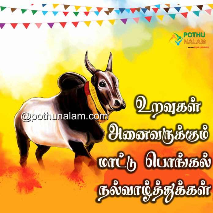 Mattu Pongal Wishes in Tamil