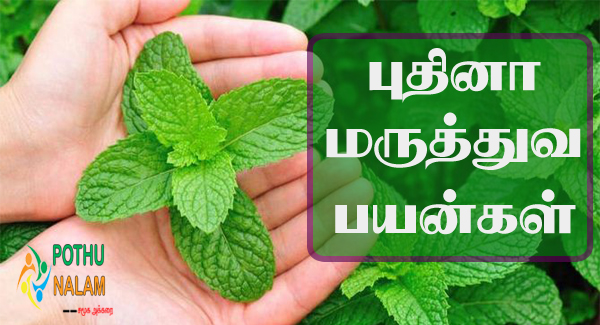 Pudina Benefits in Tamil