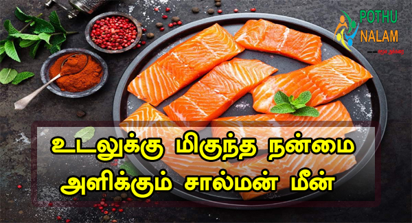 Salmon Fish in Tamil