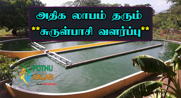Surul Pasi Valarpu in Tamil