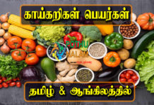 Vegetables Names in Tamil And English