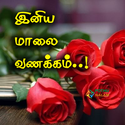Good Evening in Tamil