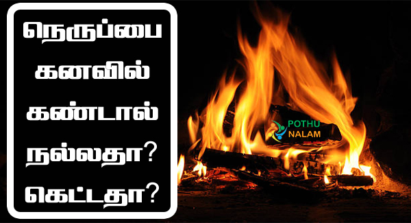 Fire Kanavu Palangal in Tamil