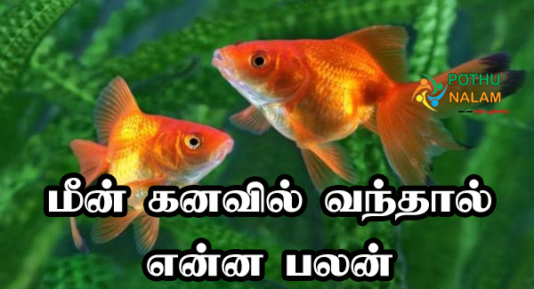 Fish Dream Meaning in Tamil