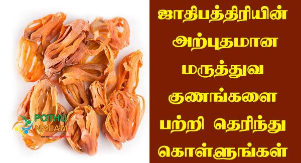 Jathipathri Uses in Tamil