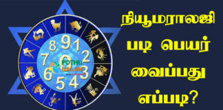 Numerology Calculator in Tamil
