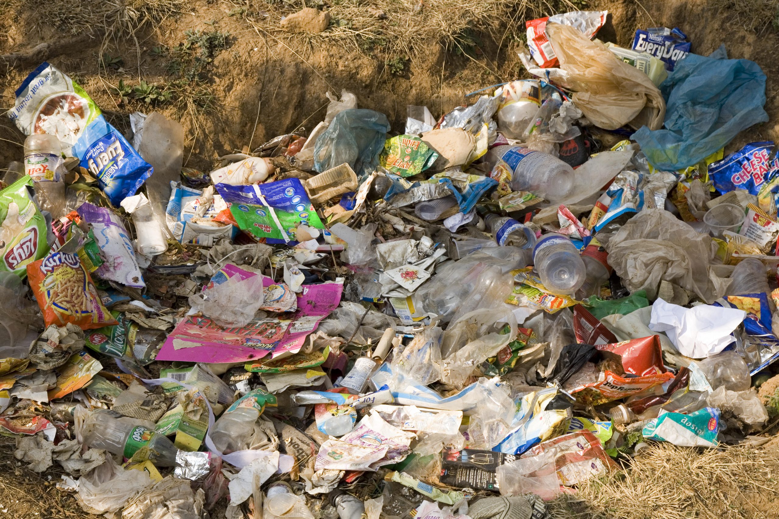 biodegradable waste