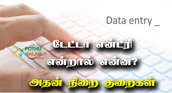 What is Data Entry in Tamil