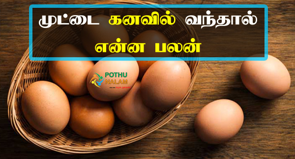 Egg Kanavu Palangal in Tamil