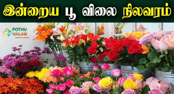 Today Flower Rate in Chennai