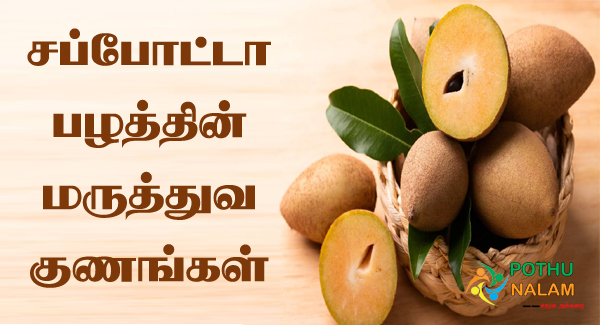 sapota benefits in tamil