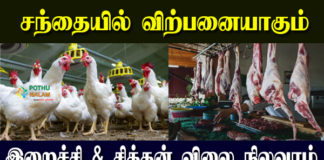 Chicken Indraya Vilai