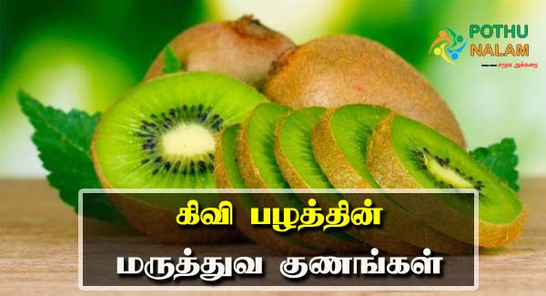 kiwi fruit benefits in tamil