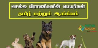 pets name in tamil