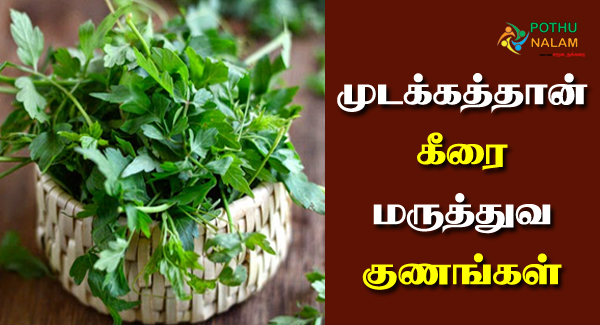 Mudakkaththan Keerai Benefits in Tamil