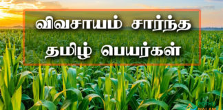 Agriculture Names in Tamil