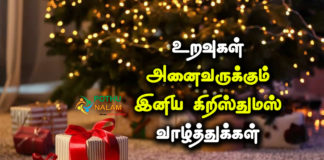 Christmas Wishes Tamil