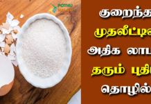 Eggshell Business Ideas in Tamil