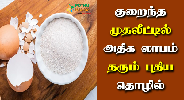 Eggshell Business Ideas in Tamil