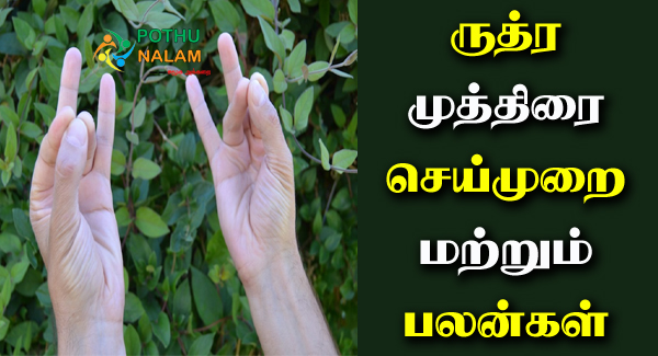 Rudra Mudra Benefits in Tamil