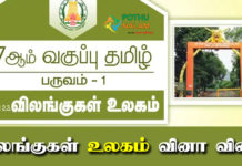 Samacheer Kalvi 7th Tamil Solutions Term 1 Chapter 2.3