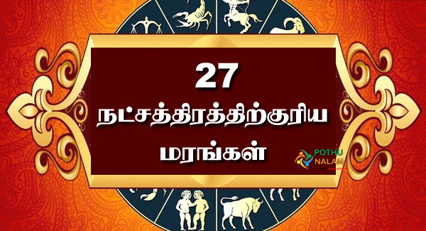 27 Stars and Trees in Tamil