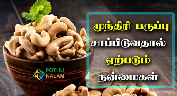 Cashew Nuts Benefits in Tamil